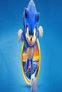 Kirpi Sonic