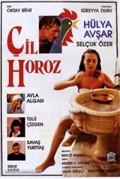 Çil Horoz
